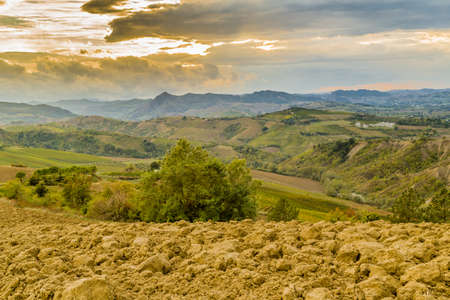 Green rolling hills covered with vineyards and other crops in Italyの写真素材