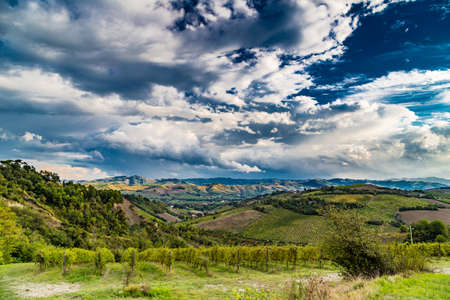 Green rolling hills covered with vineyards and other crops in Italyの写真素材