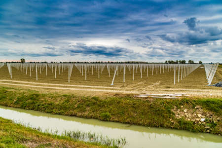 rows of precast concrete white poles driven into the ground to support the fruit trees in plowed fields in modern agricultureの写真素材