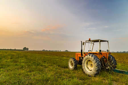 old tractor and trailer next to a land where maize was harvestedの写真素材