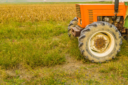 old tractor and trailer next to a land where maize was harvestedの写真素材