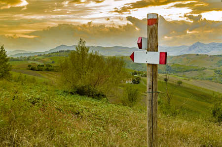 road sign with two arrows on green rolling hills covered with vineyards and other crops in Italy at sunsetの写真素材