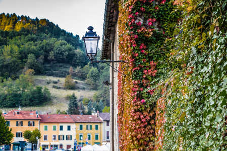 Boston ivy around street lamp on The Palace of  the Captains in medieval mountain village in Tuscany characterized by houses with walls of stones derived from the Renaissanceの写真素材