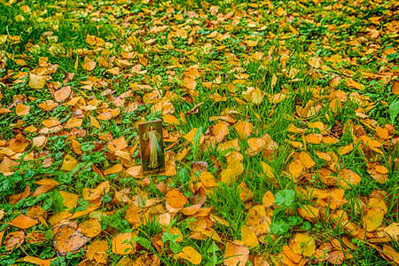 an icon with the picture of the Merciful Jesus among fallen leaves in Autumn: the translation of the Italian writing on bottom is Jesus, I trust in youの写真素材