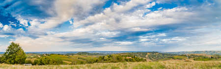 Green rolling hills covered with vineyards and other crops in Italyの写真素材