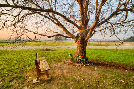 wooden bench in front of a shrine dedicated to the Blessed Virgin Mary