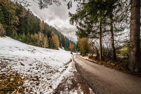 mountain road in a forest of conifers on the snowy Alps in Italyの写真素材