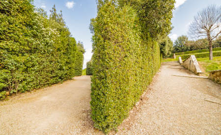 The Italian-style Boboli gardens behind the Pitti Palace in Florence, Italyのeditorial素材