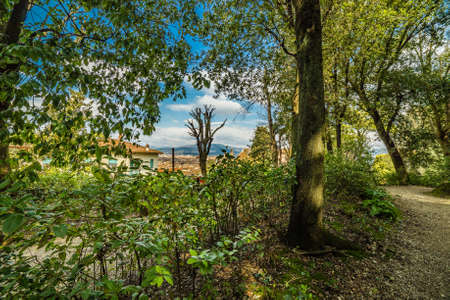 View from the Italian-style Bardini gardens in Florence, Italyの写真素材