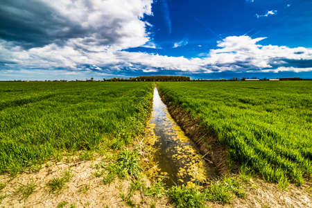 dirt Irrigation canal running towards the horizon through green fields of the Po Valley in Romagna, Italyの写真素材
