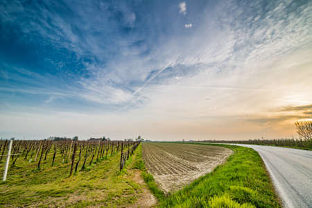 asphalt road through fields in the plains in the countryside of Emilia Romagna in Italyの写真素材