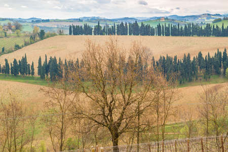 green rolling hills of EmiliaRomagna in Italy