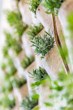 herbs into the pockets of a cloth wallの写真素材