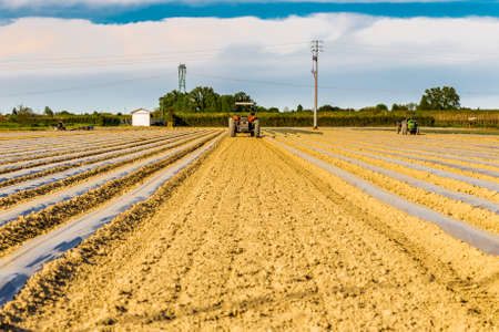 tractors working on the plowed fields in the process of preparation for irrigationの写真素材