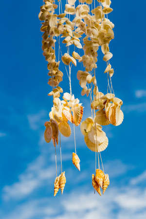 Hanging shells isolated on white backgroundの写真素材