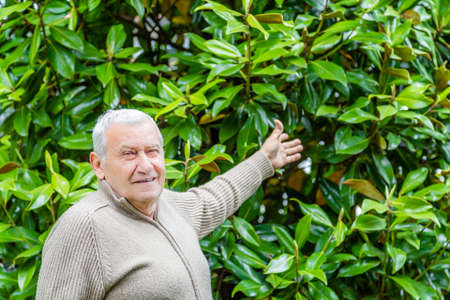 Elderly Caucasian in green garden shows the background of green leaves behind him