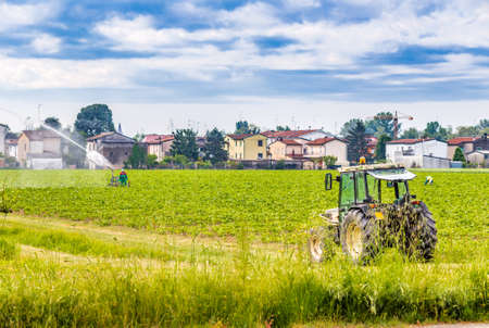 farmer organizes the irrigation of a cultivated field with a long-range wateringの写真素材