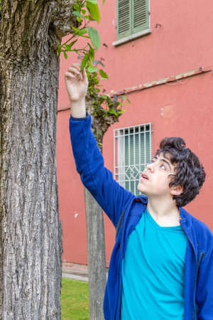 young boy lost in thoughts holding leaves of a catalpa tree in garden
