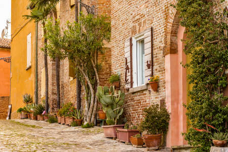 cobbled street of a medieval village on the hills of Romagna in Italy. pots of flowers and plants