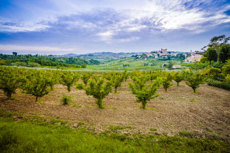 panorama of cultivated fields on the hills of Emilia Romagna dominated by Malatestian Castle,  medieval fortress dating back to 1200 AD, of Longiano, Italyのeditorial素材