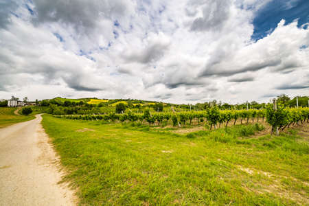 country road under the sky of Romagna in Italy
