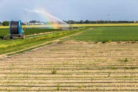 spray irrigation in the fields of Emilia Romagnaの写真素材