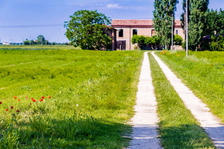 Red poppies next to a country road that leads to a farmhouseの写真素材