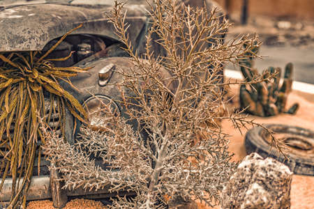 the scrap of Italian historical car in the sandの写真素材