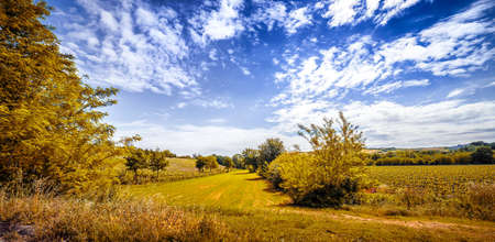 dirt road and cultivated fields on the hills of Tuscany and Romagna Apenninesの写真素材