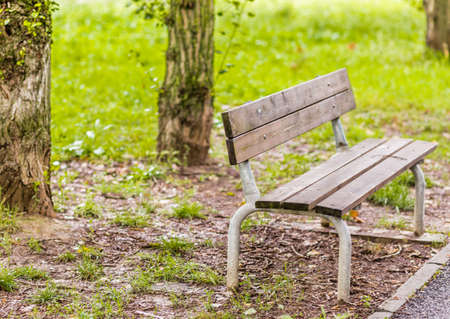 wooden bench in a garden