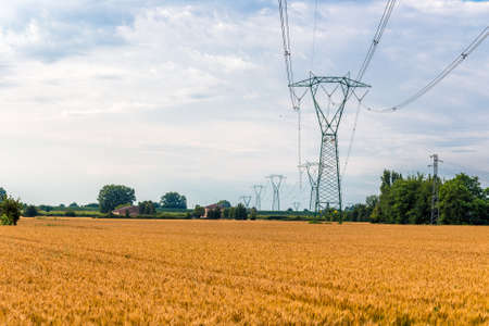 pylons for the distribution of electricity in high voltage in blond wheat fieldsの写真素材