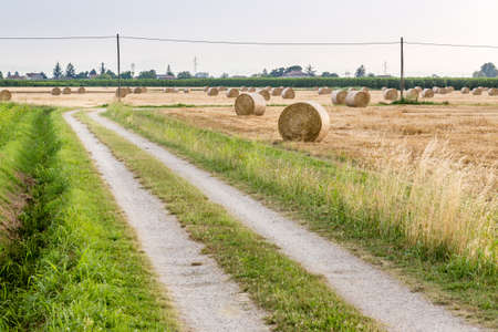 dirt road near field with hay balesの写真素材