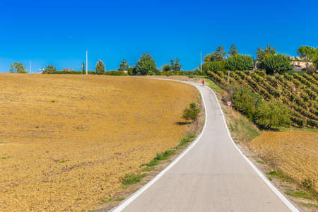 senior cyclist on a climb of serpentine road through the plowed fields of the countryside of Tuscany and Emilia appenineの写真素材