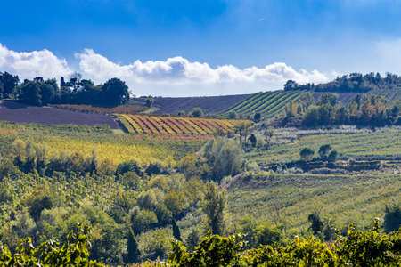 agricultural landscape, farm fields on hill in Italy