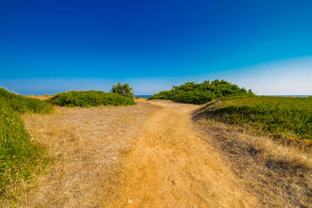 wild rocky coast of Puglia near Ostuni in Italyの写真素材