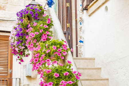 pots of hanging petunias on a staircase in Italyの写真素材
