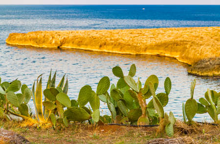 rocky coastal shore of Pugliaの写真素材
