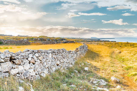 rocky coastal shore of Pugliaの写真素材