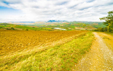 Emilia Romagna, Italy, fields on hills of Bolognaの写真素材
