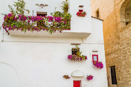 hanging petunias from windows of old white houses in Southern Italyの写真素材