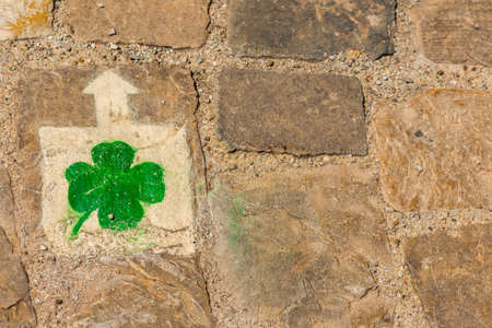 green four leaf clover on ancient stone floorの写真素材