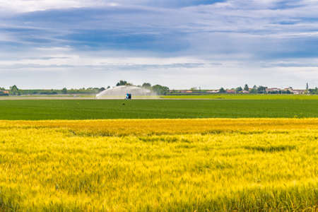 high pressure irrigation of cultivated fields in Italian countrysideの写真素材
