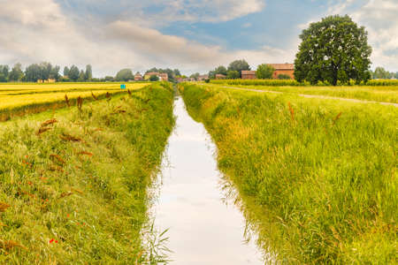 irrigation canal along cultivated fields in Italian countrysideの写真素材