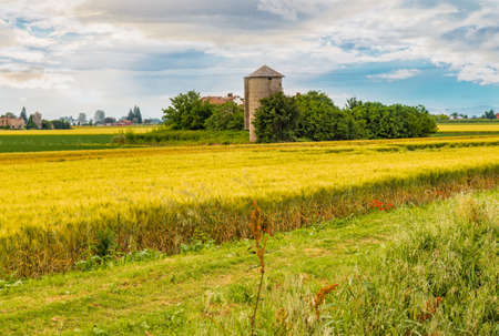 cultivated fields in Italian countrysideの写真素材