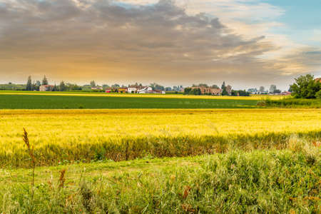 cultivated fields in Italian countrysideの写真素材