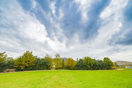 Walking around grass and buildings of  Medjugorjeの写真素材