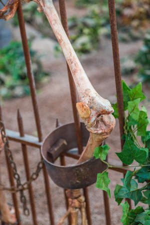 fake skeleton of chained manの写真素材