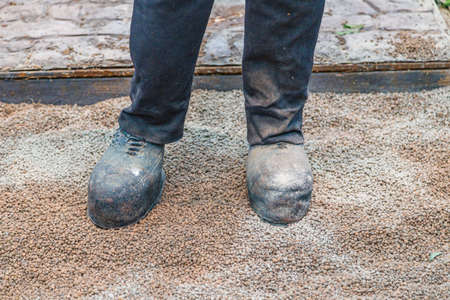 fake giant monster feet in shoesの写真素材