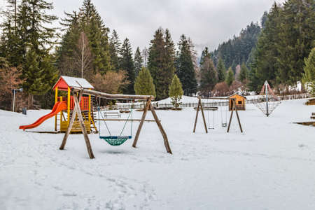 children playground near forests of pine and fir trees