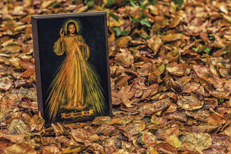 an icon with the picture of the Merciful Jesus among fallen leaves in Autumn: the translation of the Spanish sentence on the ribbon, Jesus yo confio en ti,  is Jesus, I trust in youの写真素材